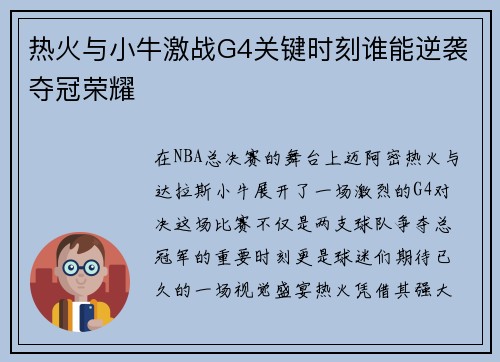 热火与小牛激战G4关键时刻谁能逆袭夺冠荣耀